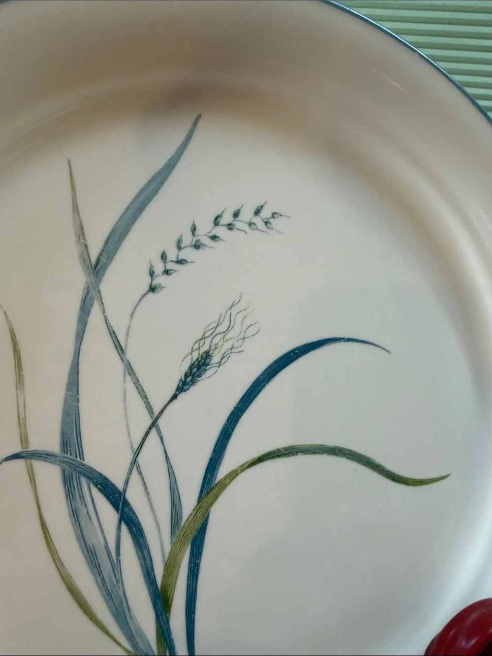 Vintage Corelle Coastal Breeze pattern plate by Corning.  Good vintage condition